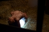 Thumnail / 2 / 31 / 12