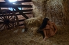 Thumnail / 2 / 31 / 12