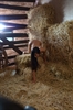 Thumnail / 2 / 31 / 12