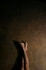Thumnail / 2 / 31 / 33