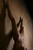 Thumnail / 2 / 31 / 33