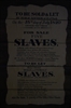 Thumnail / 2 / 31 / 42