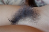 Thumnail / 2 / 31 / 50