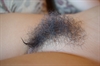 Thumnail / 2 / 31 / 50