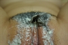 Thumnail / 2 / 31 / 50