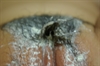 Thumnail / 2 / 31 / 50
