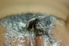 Thumnail / 2 / 31 / 50