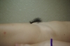 Thumnail / 2 / 31 / 50