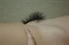 Thumnail / 2 / 31 / 50