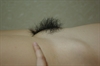Thumnail / 2 / 31 / 50