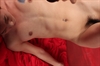 Thumnail / 2 / 32 / 29