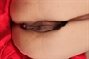 Thumnail / 2 / 32 / 29