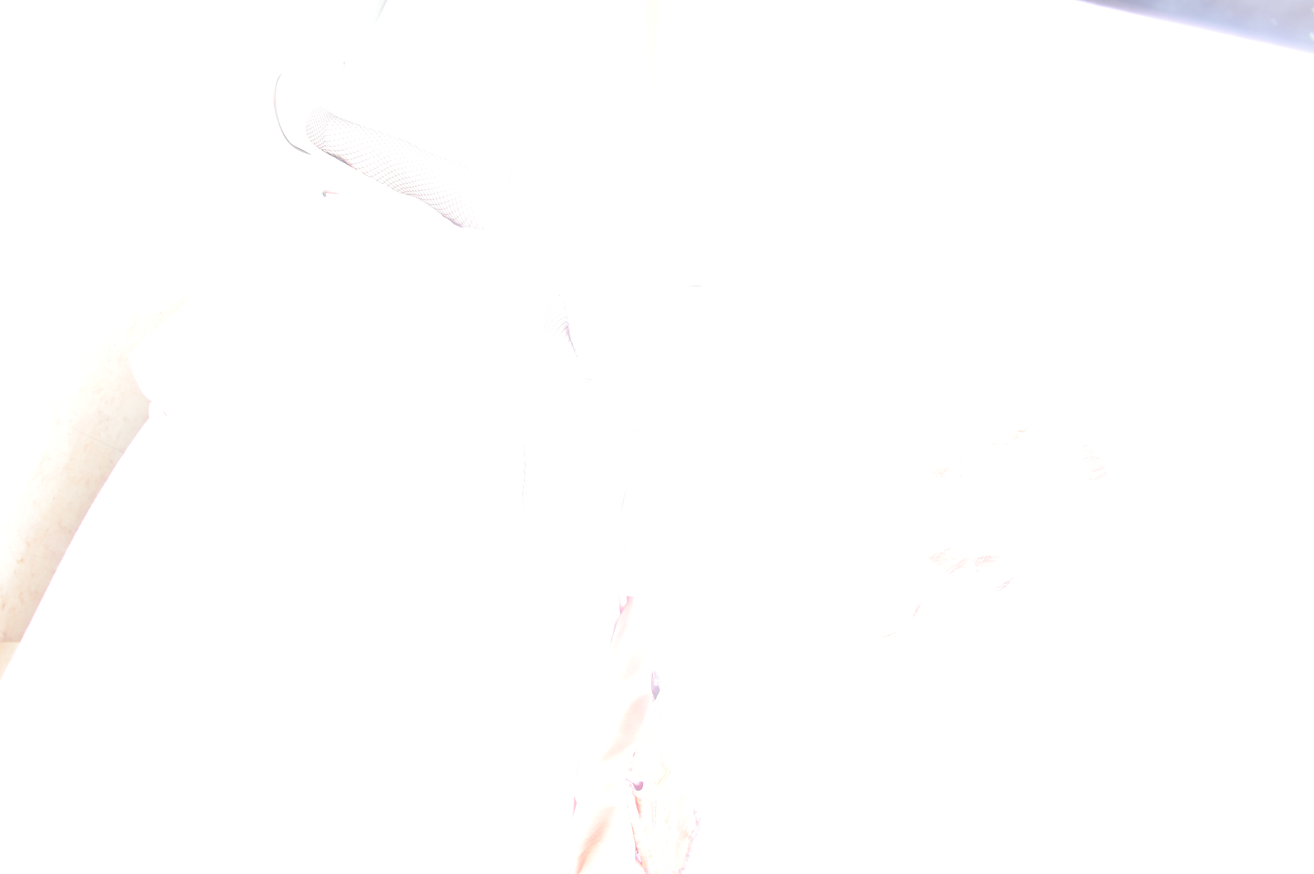 미분류 / SJ(20140220)577_3.16