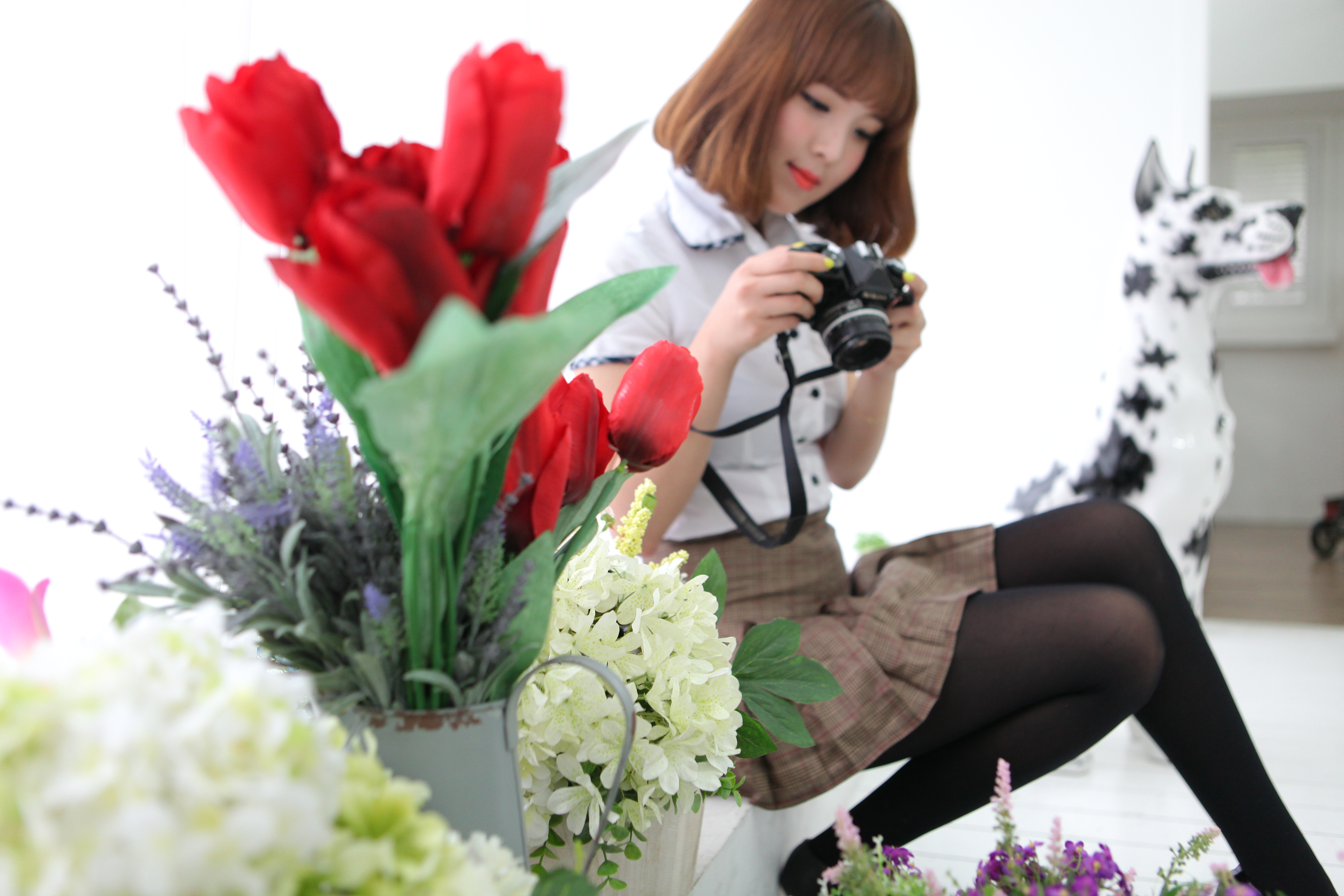 미분류 / 소프트_2.41GB_1,071장