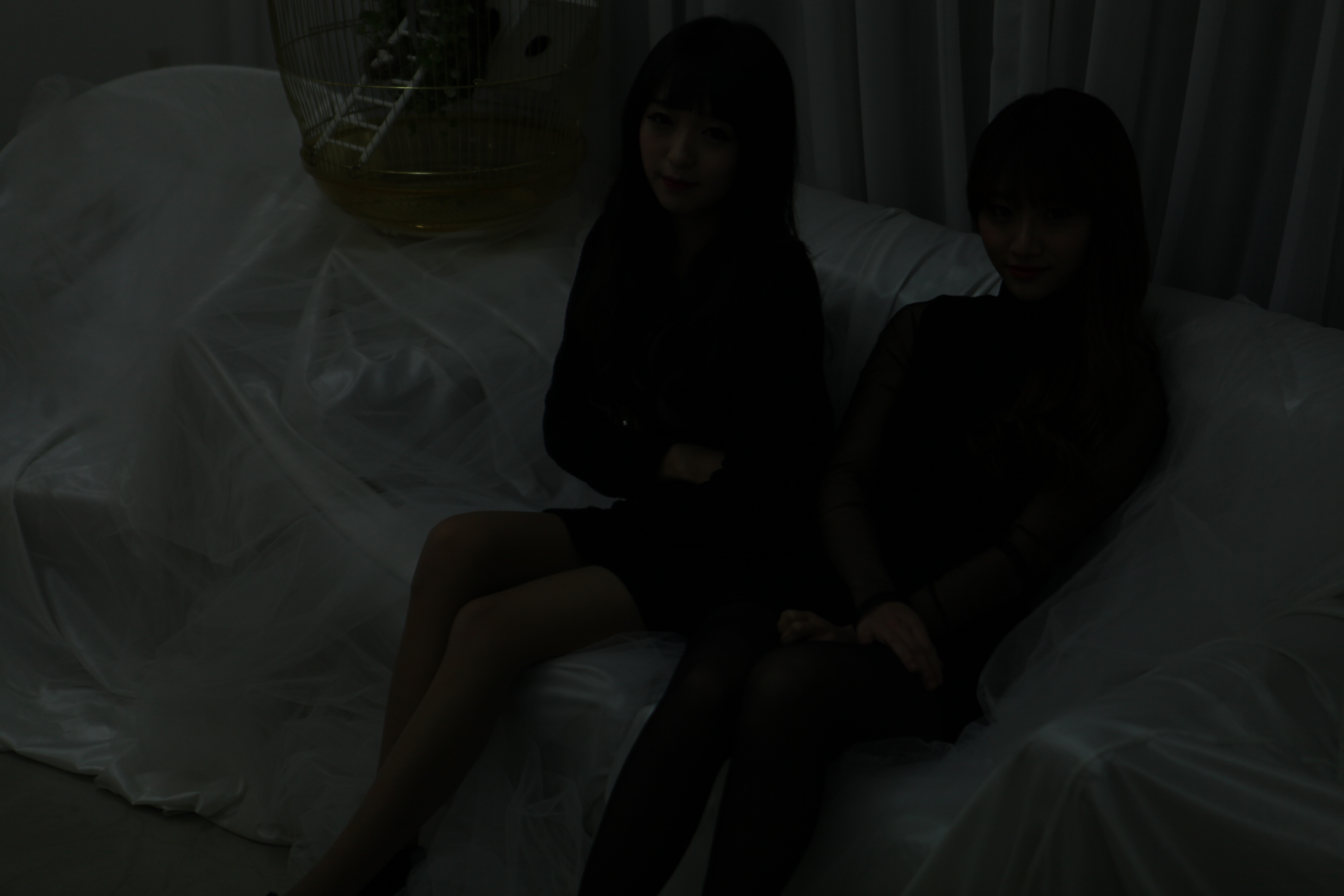 미분류 / 한빛(식스밤)