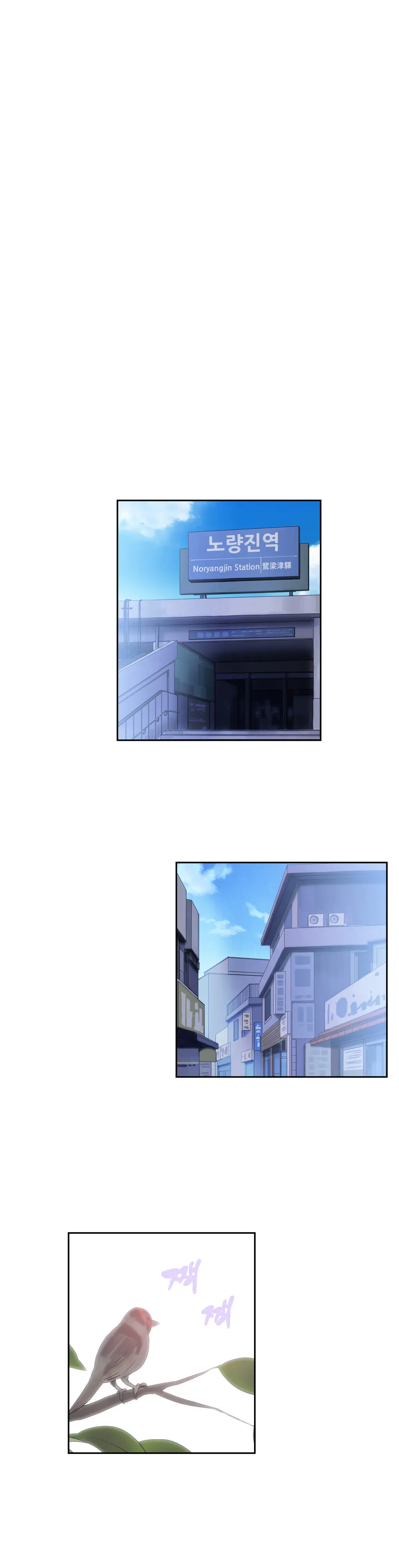 SStudy Ch.0-51