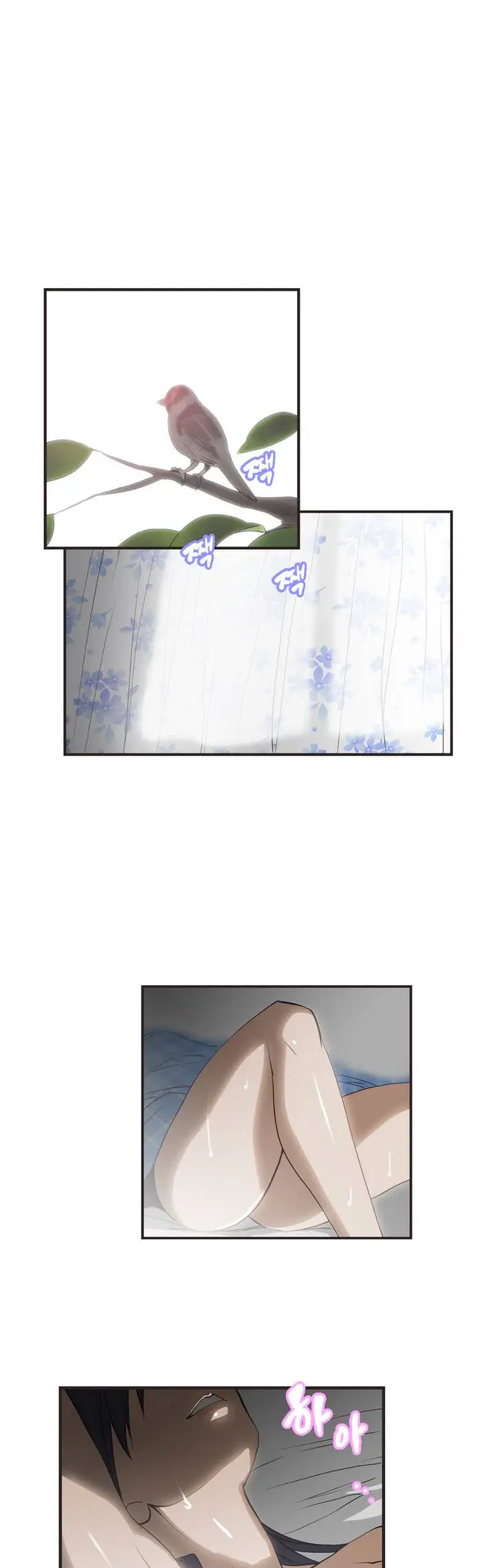 SStudy Ch.0-51