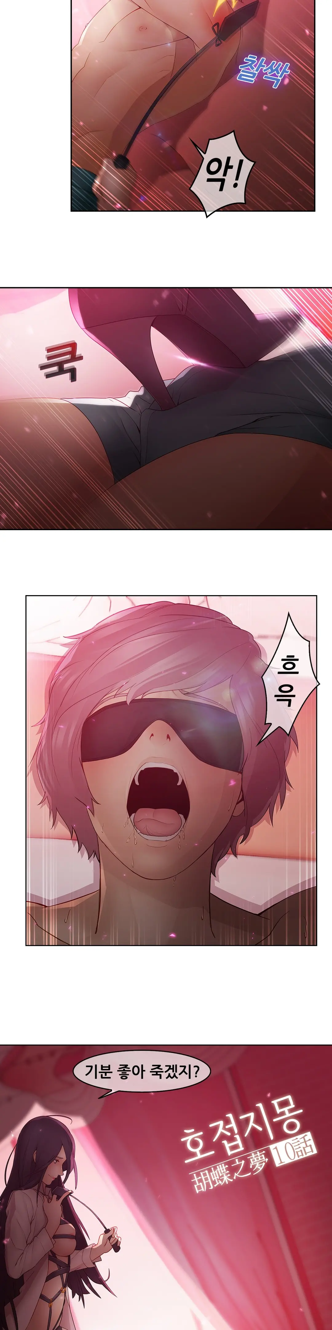 Butterfly Ch.1-13