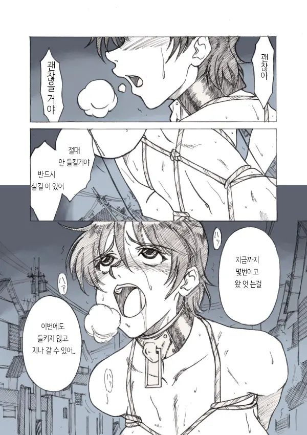 Roshutsu Hime No Hitsuzenteki Kyuuchi (Zen) | 노출공주의 필연적 위기