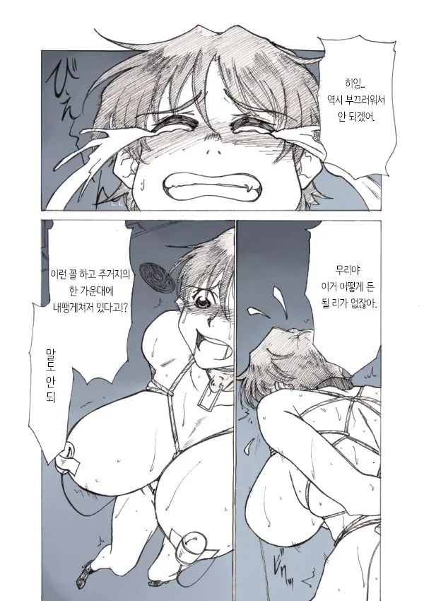 Roshutsu Hime No Hitsuzenteki Kyuuchi (Zen) | 노출공주의 필연적 위기