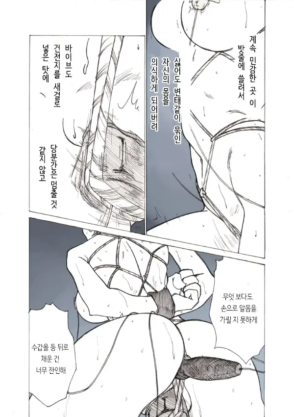Roshutsu Hime No Hitsuzenteki Kyuuchi (Zen) | 노출공주의 필연적 위기