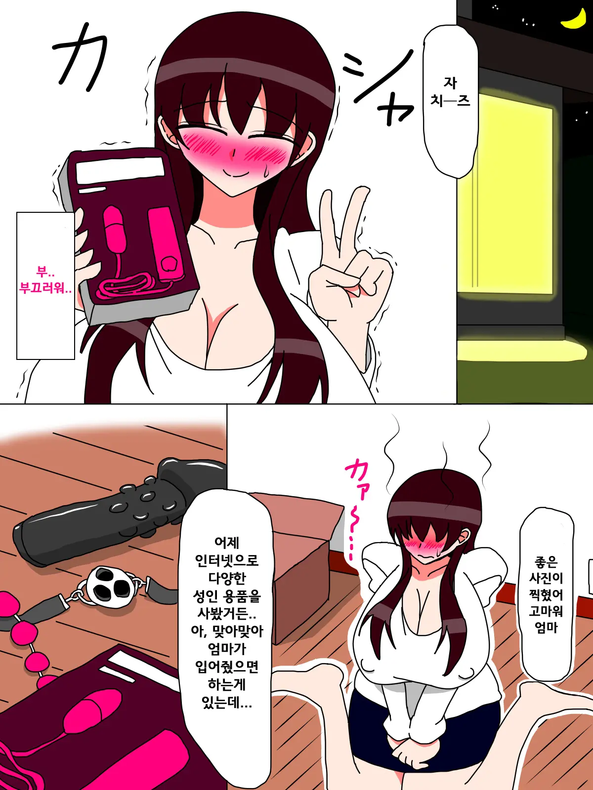 Boku To Kaa-San No Ikkagetsu