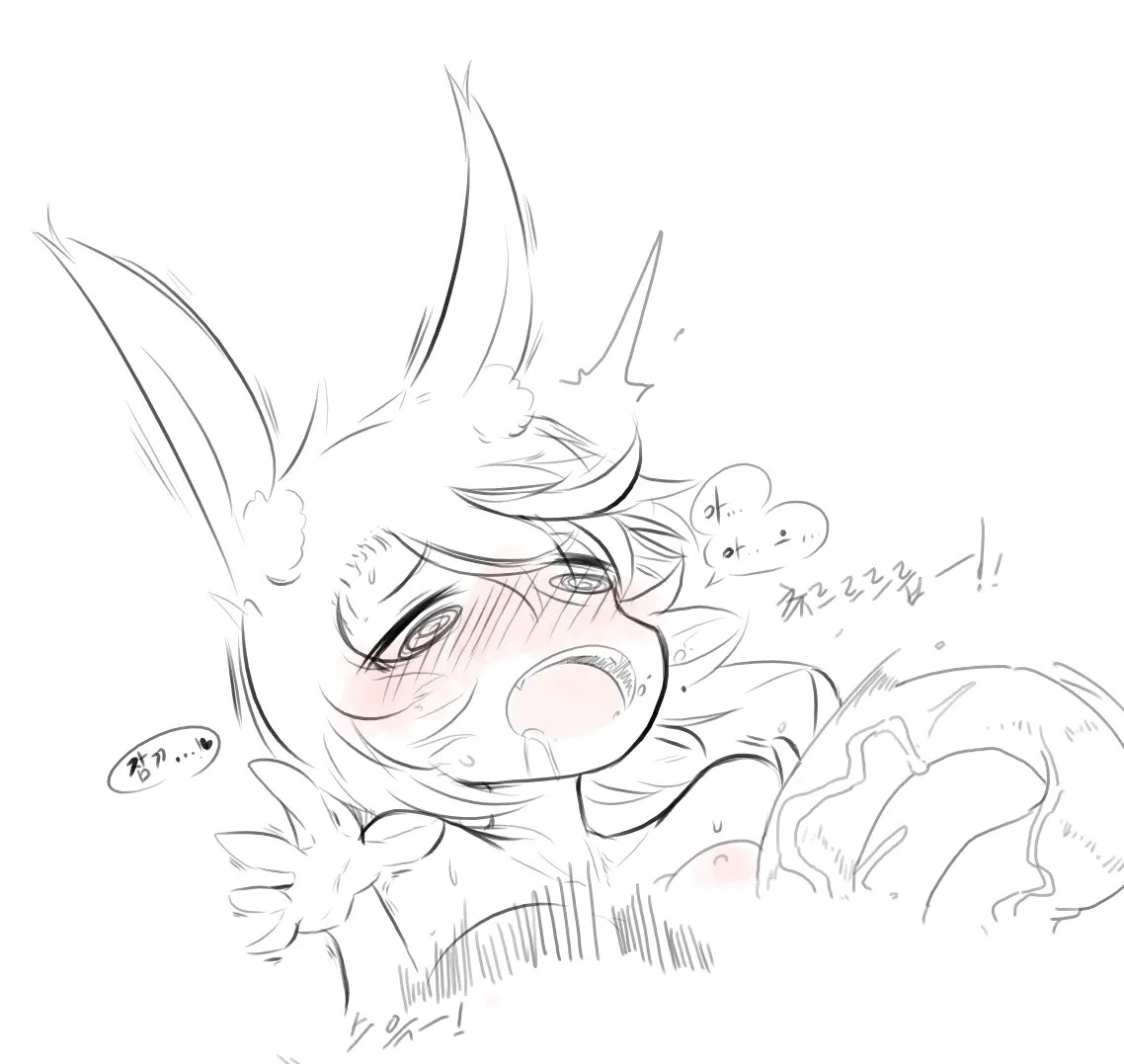 넷캔