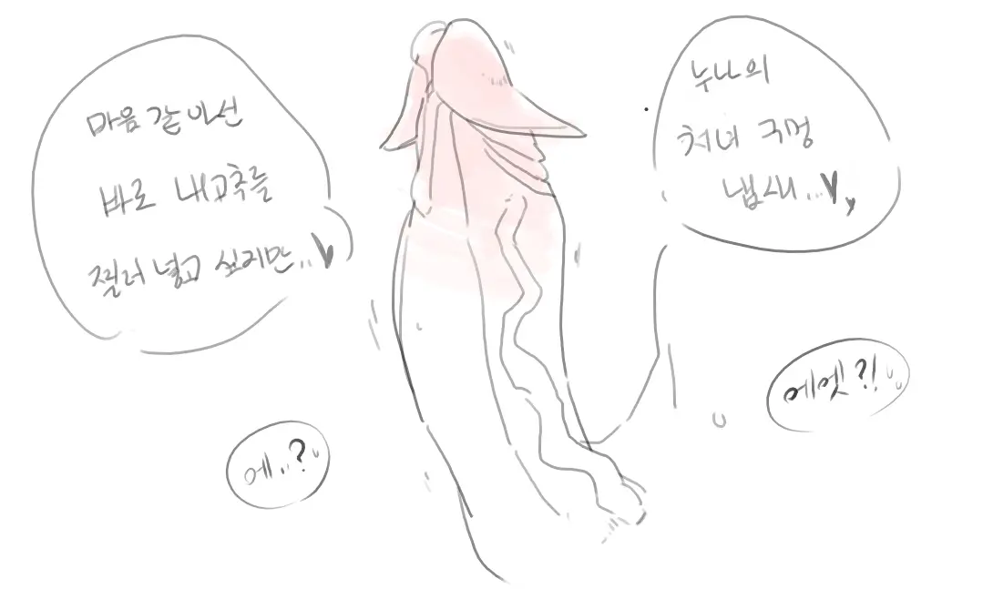 넷캔