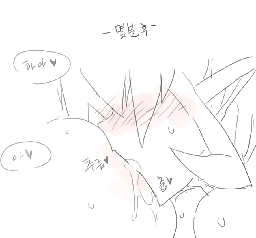 넷캔