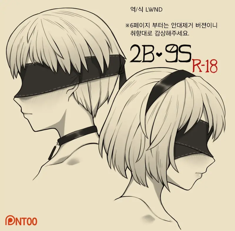 2B 9S