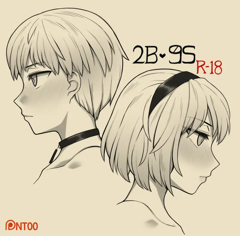 2B 9S