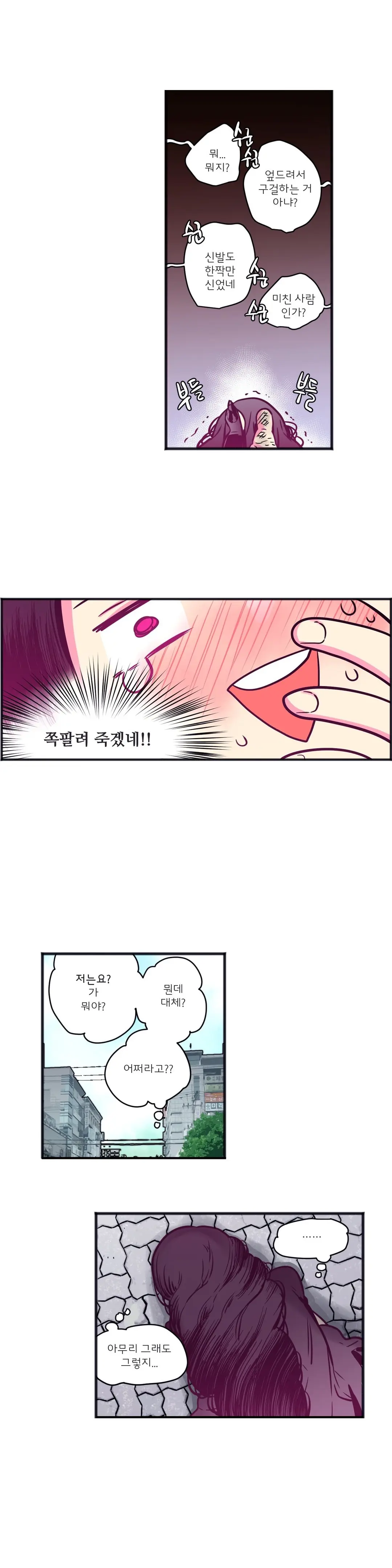 Hadome 1-12