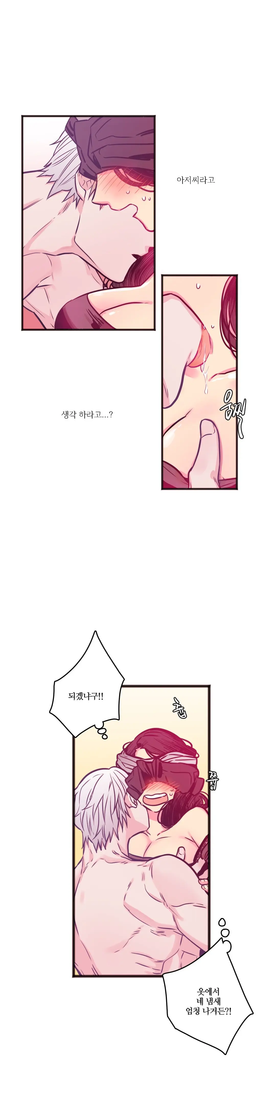 Hadome 1-12