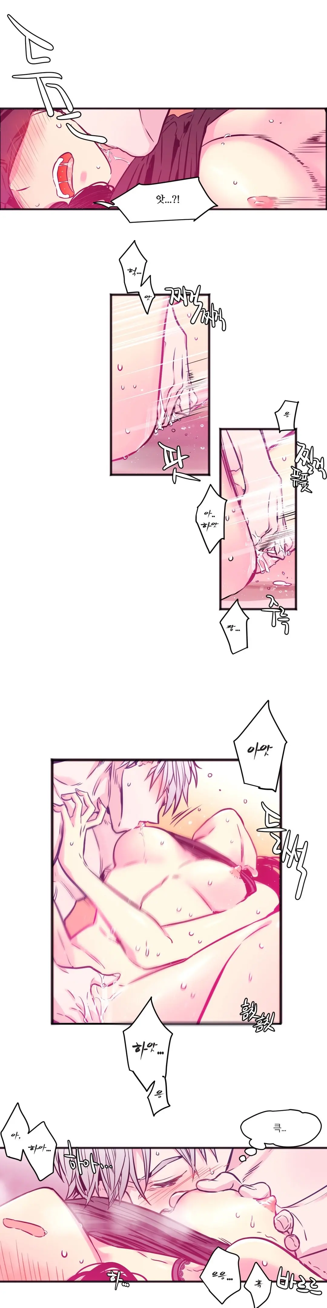 Hadome 1-12
