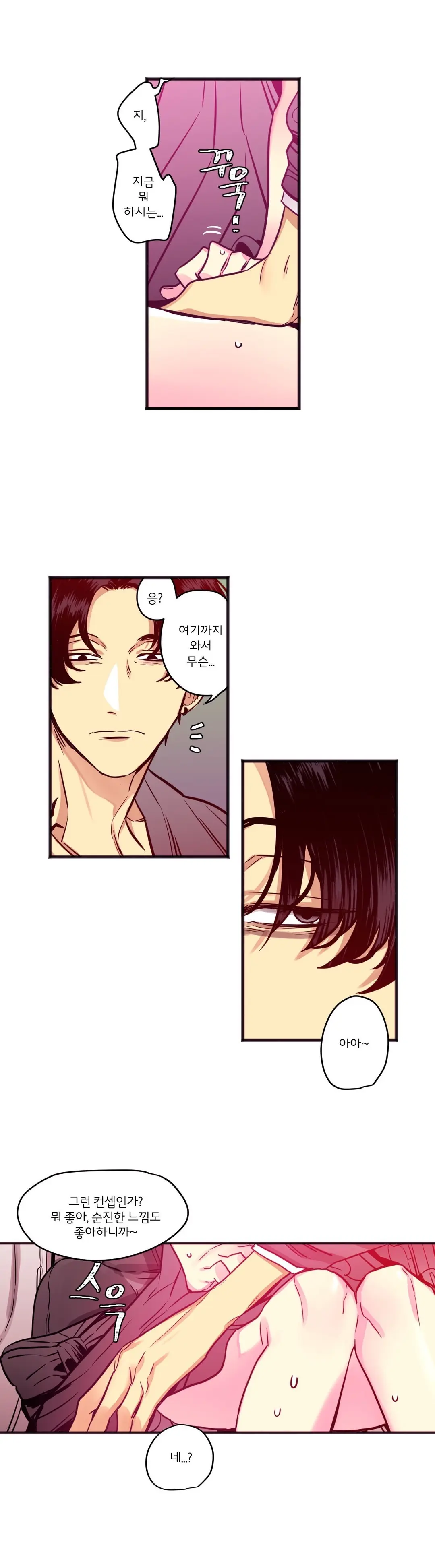 Hadome 1-12