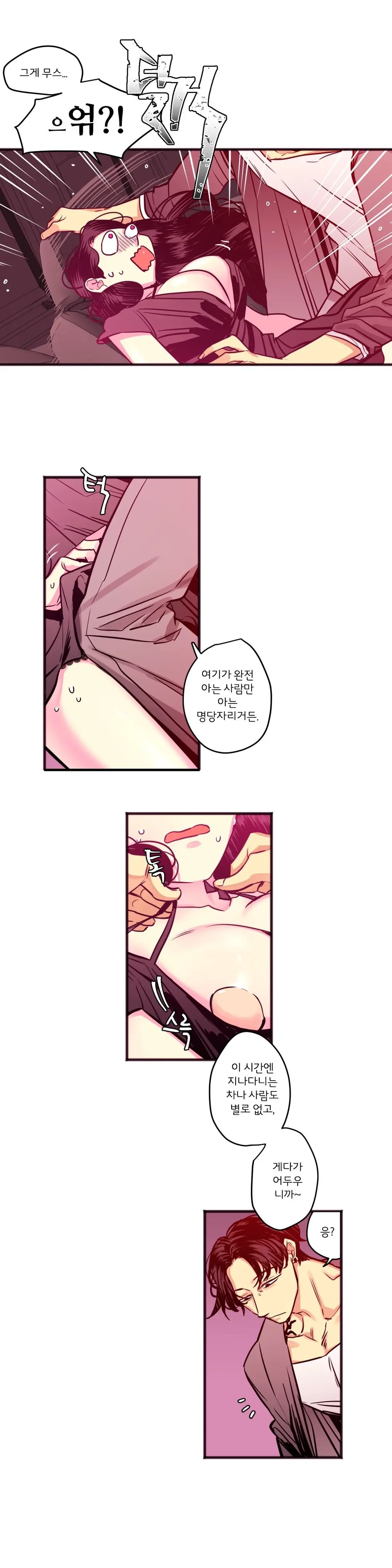 Hadome 1-12