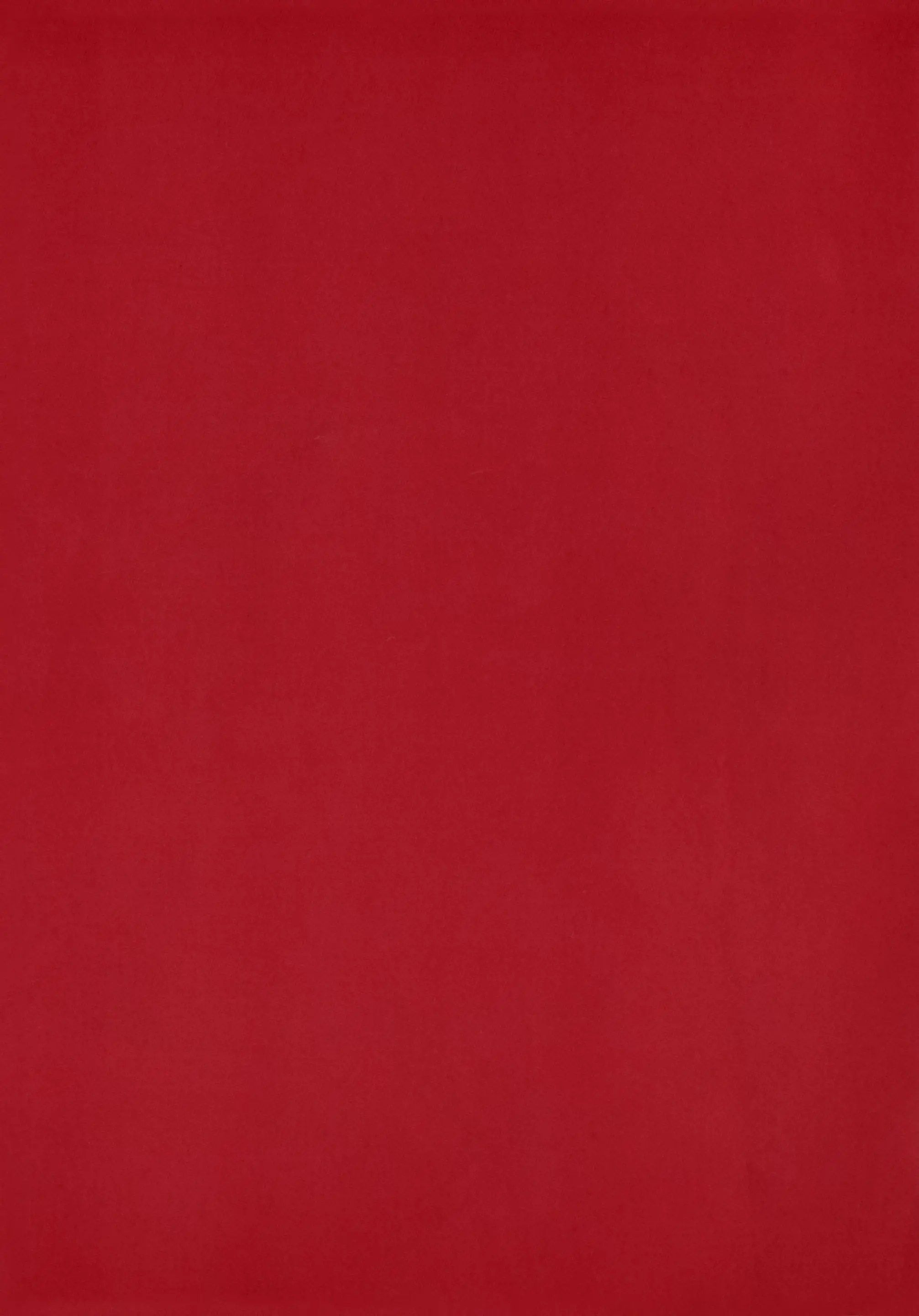 THE BOOK OF RIKO