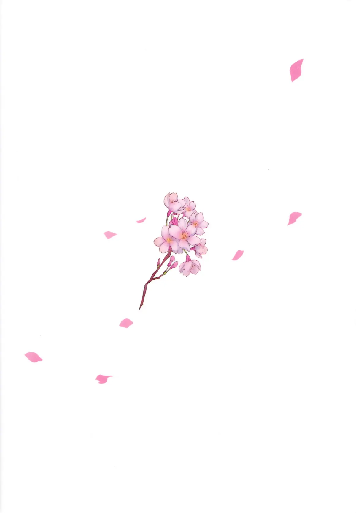 Irui Konintan Gaiden | 이류혼인담외전