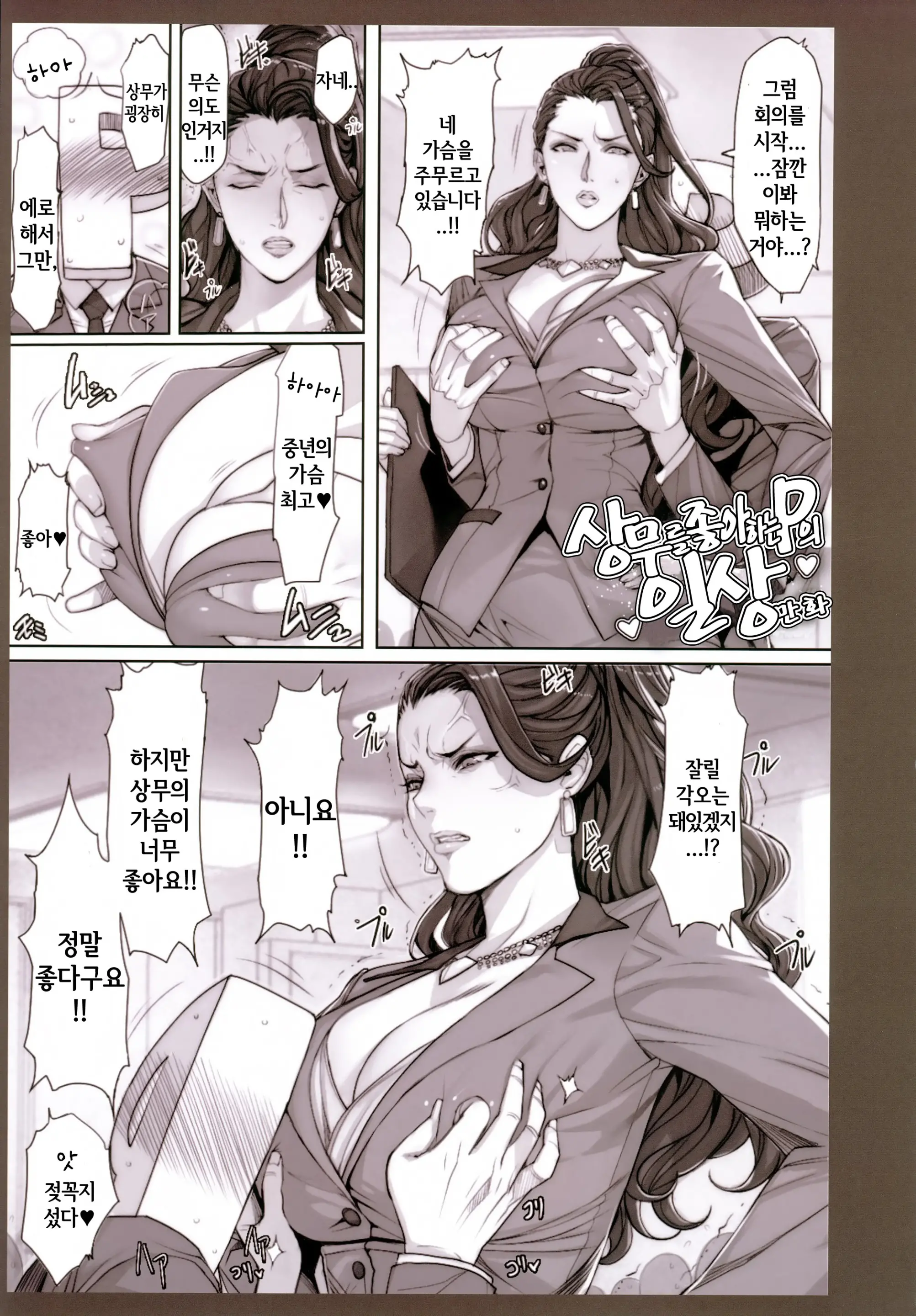 H Na Toshiue Chara No Rakugaki·Rough Manga Hon | H한 연상 캐릭터 낙서·러프 만화책