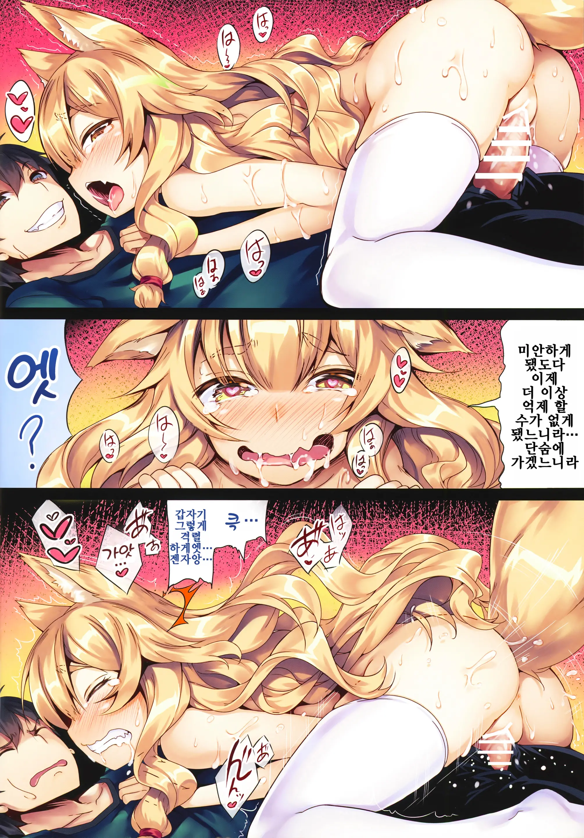 Fox | 팍스