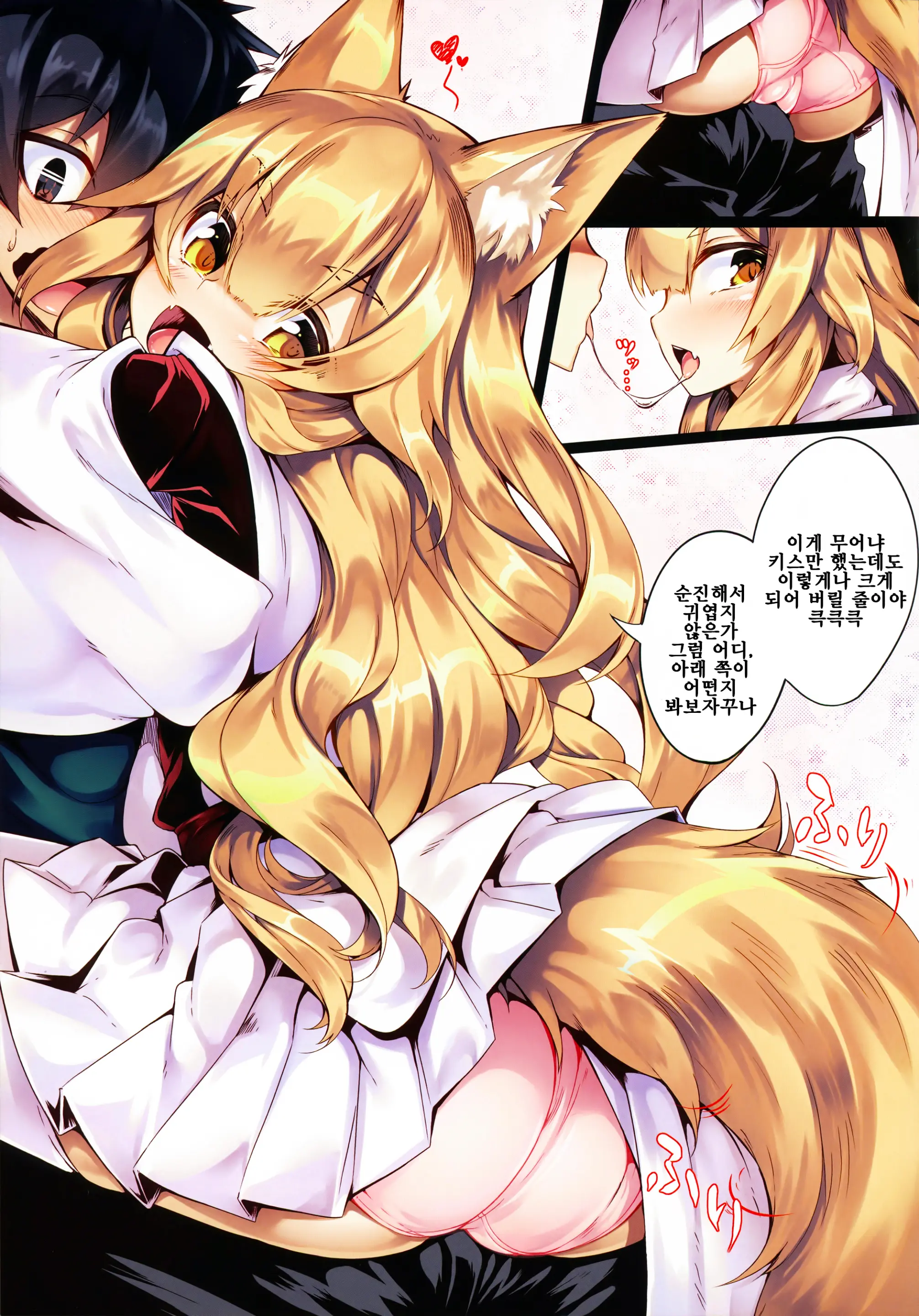 Fox | 팍스