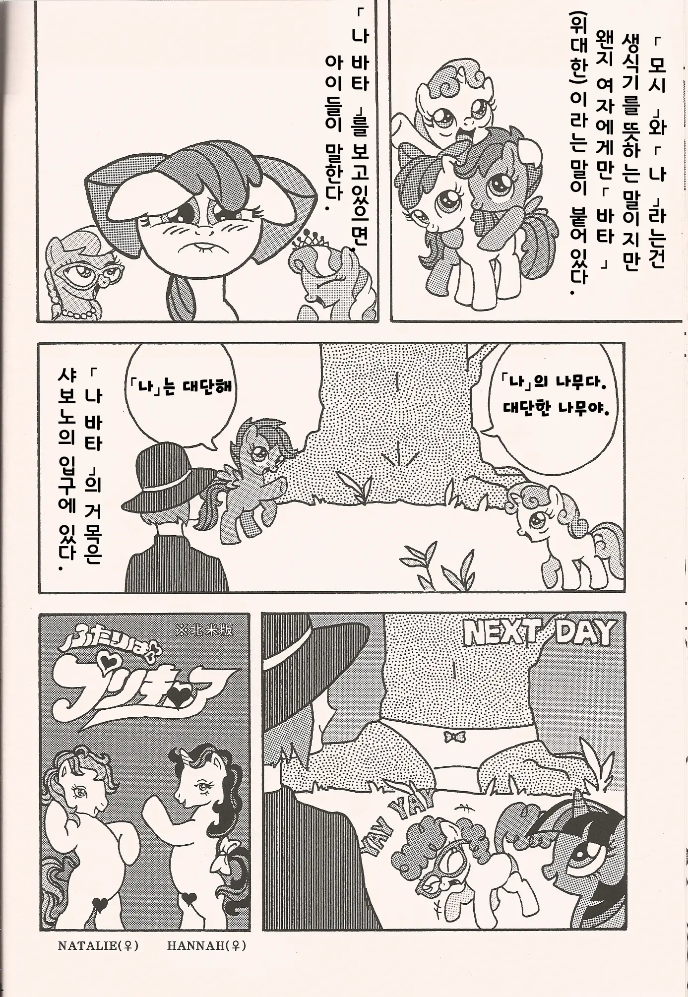 No Name Horses