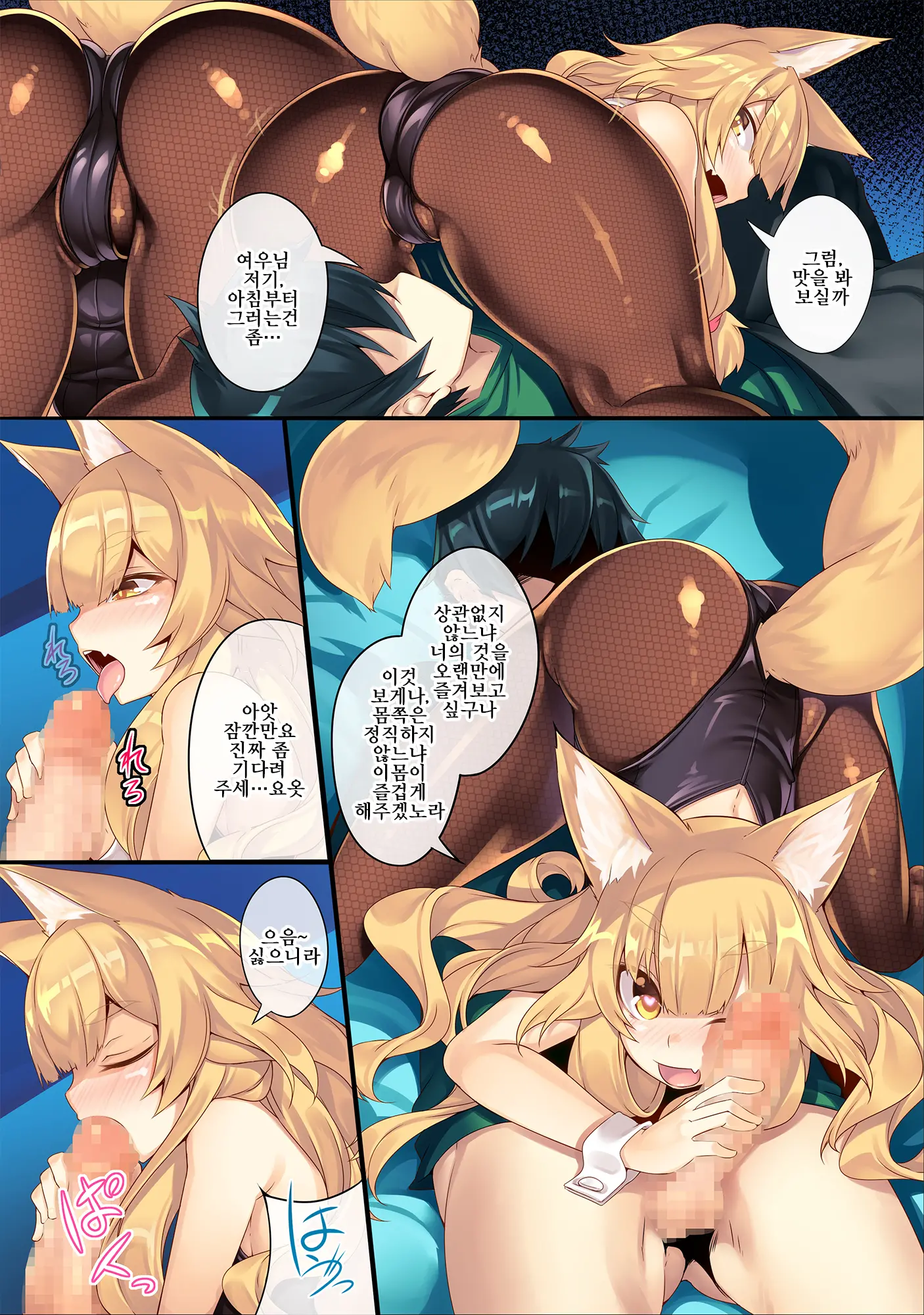 Fox Ni | 팍스 두 번째