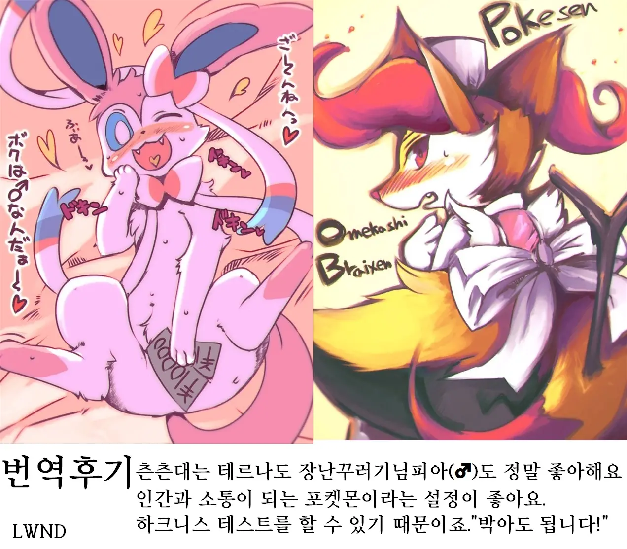 Enjo Koupoke | 원조교포켓