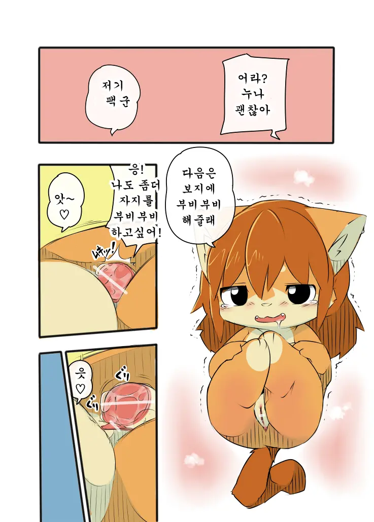 Uchinoko 1241-Nichi Kinen Shime