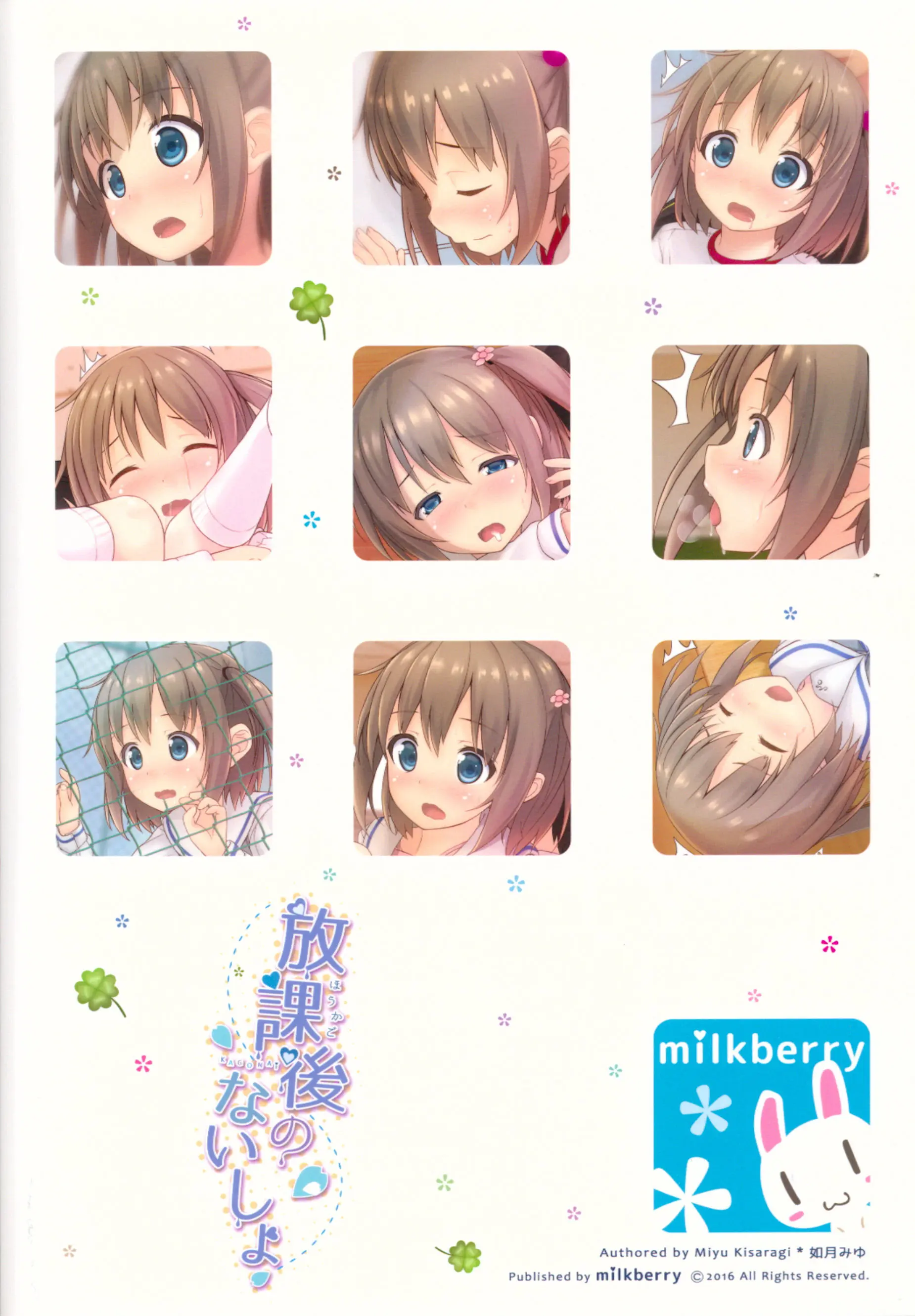 Houkago No Naisho