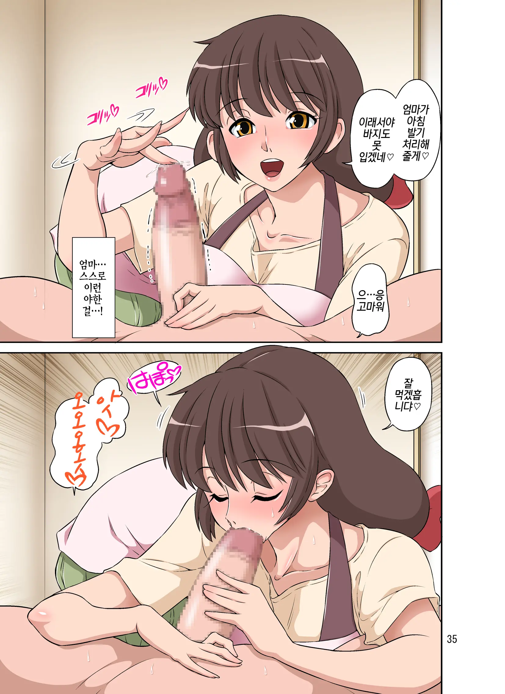 Sewayaki Mama, Musuko Ni Hamerareru. |돌보기 좋아하는 엄마, 아들한테 박혀버리다