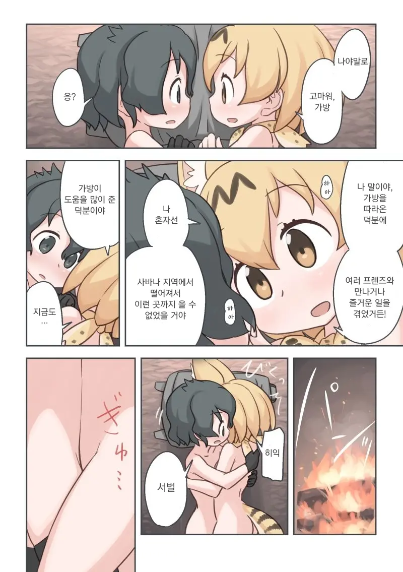 Takibi | 모닥불