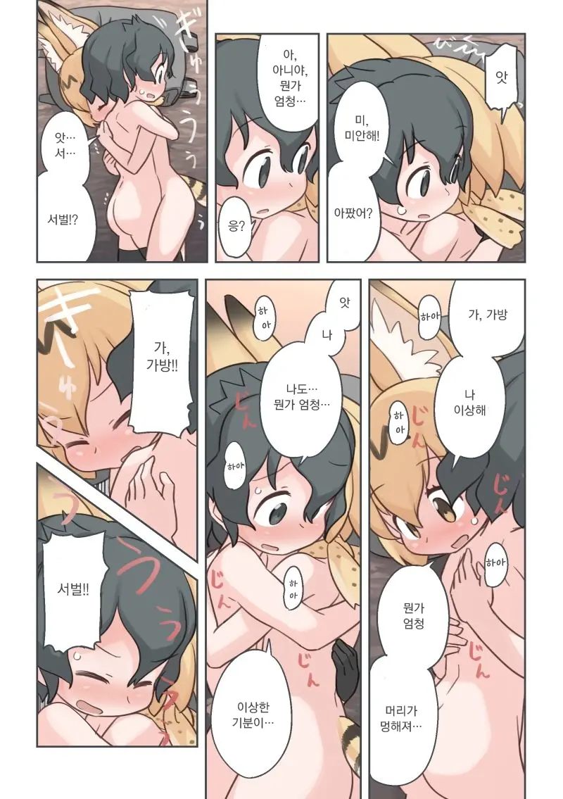 Takibi | 모닥불