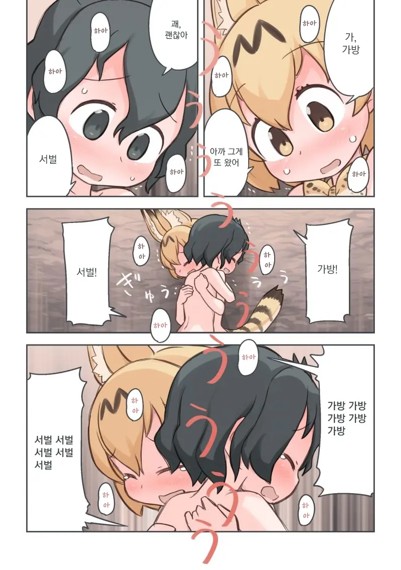 Takibi | 모닥불